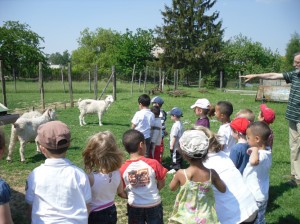 ferme pédagogique centre aéré